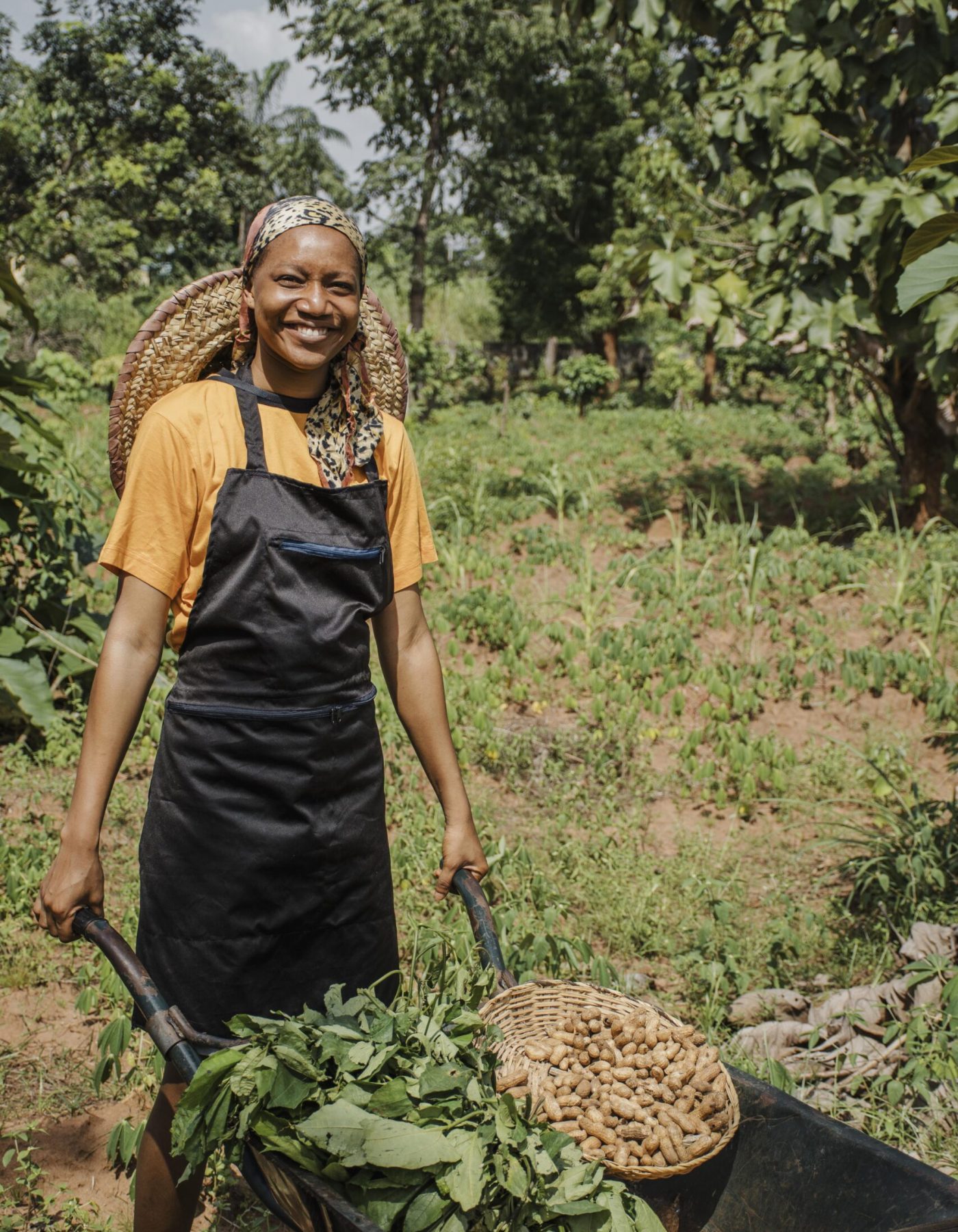countryside-worker-posing-with-wheelbarrow